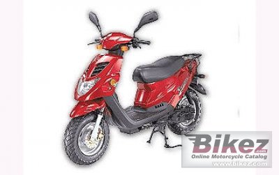 2010 E-Ton Beamer 50 photo